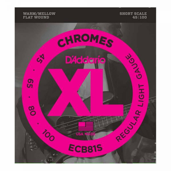 סט מיתרים לגיטרה בס דדריו 45-100 - Daddario ECB81S Chromes Bass Guitar Strings