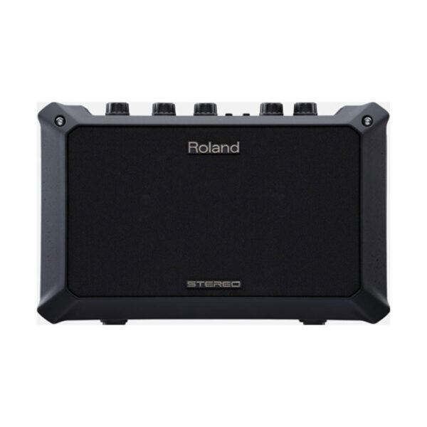 מגבר לגיטרה אקוסטית רולנד – Roland Mobile AC